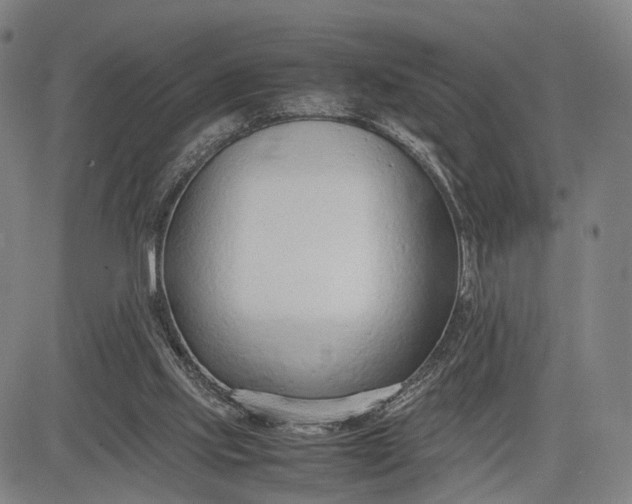 X0000083010061200702161601