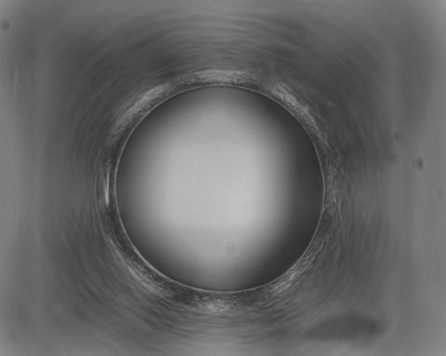 X0000083010062200702161601