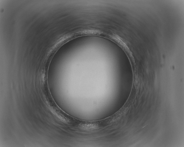 X0000083010063200702161601