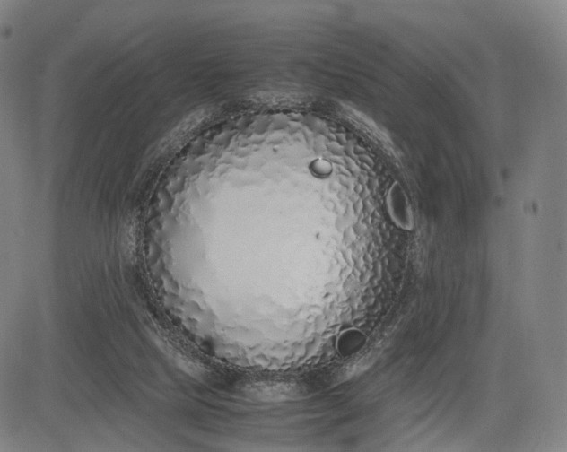 X0000083010065200702161601