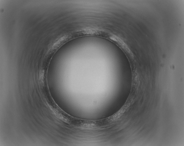 X0000083010066200702161601