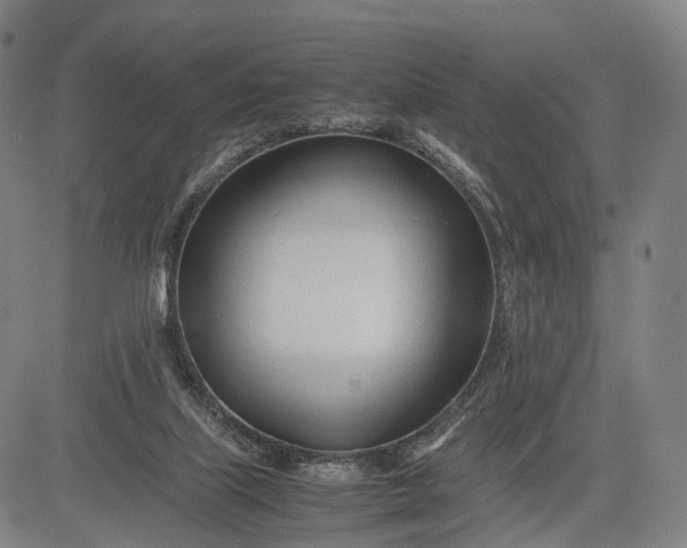 X0000083010067200702161601