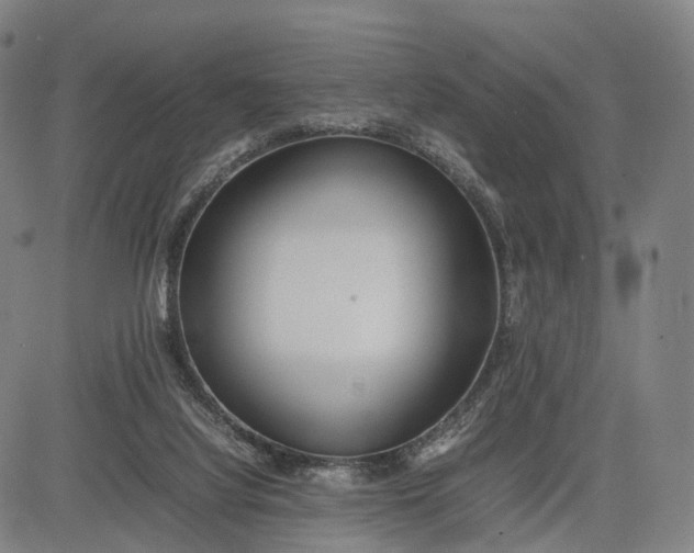 X0000083010068200702161601