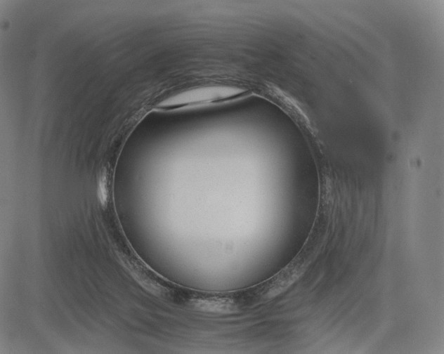 X0000083010069200702161601