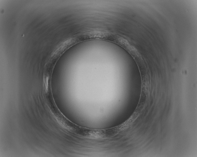 X0000083010070200702161601