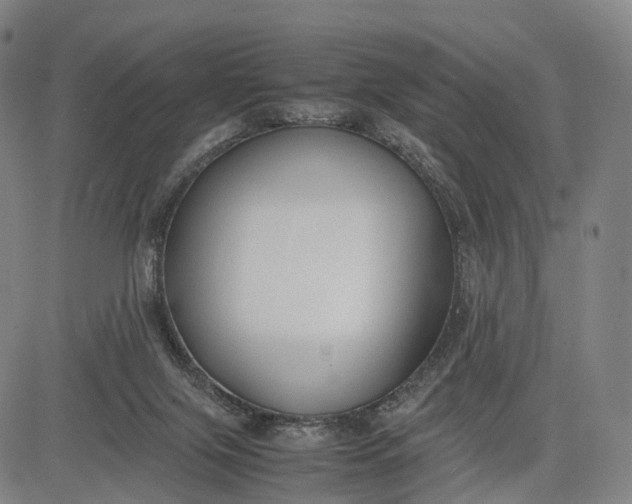 X0000083010071200702161602