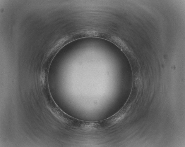 X0000083010072200702161602