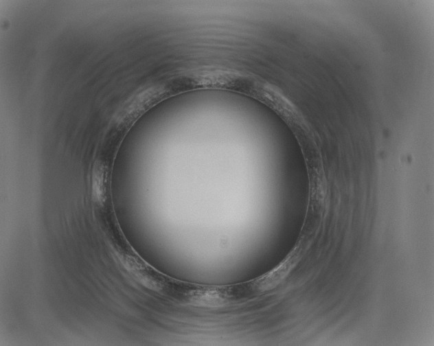 X0000083010074200702161602