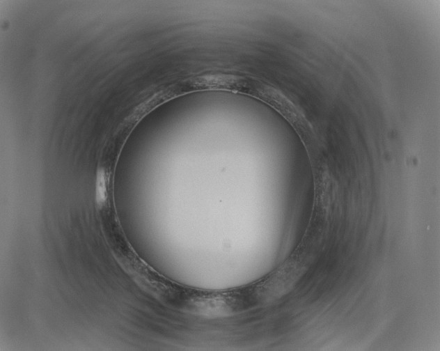 X0000083010075200702161602