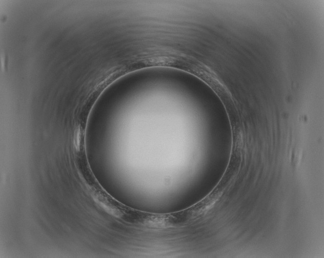 X0000083010076200702161602