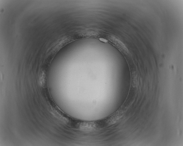 X0000083010077200702161602