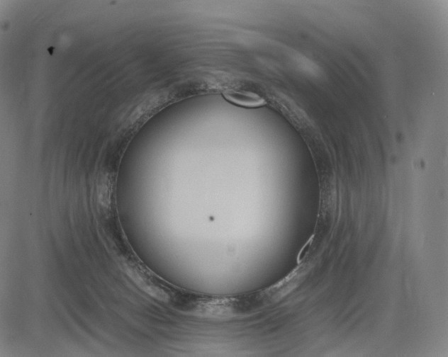 X0000083010078200702161602