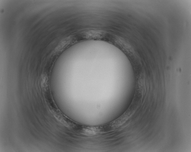 X0000083010079200702161602