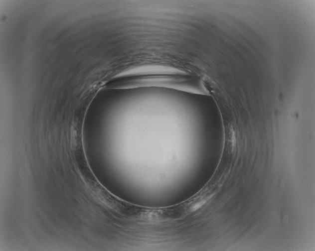 X0000083010080200702161602