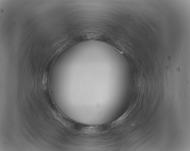 X0000083010082200702161602