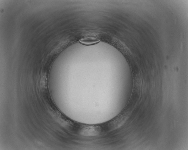 X0000083010083200702161602