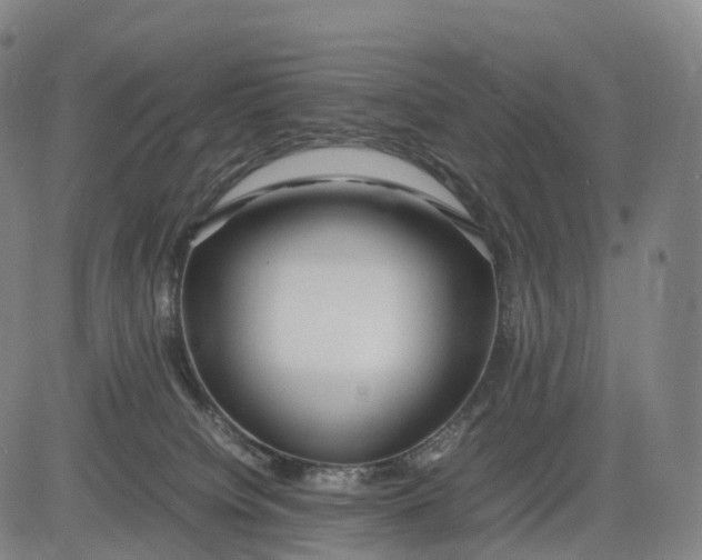 X0000083010084200702161602