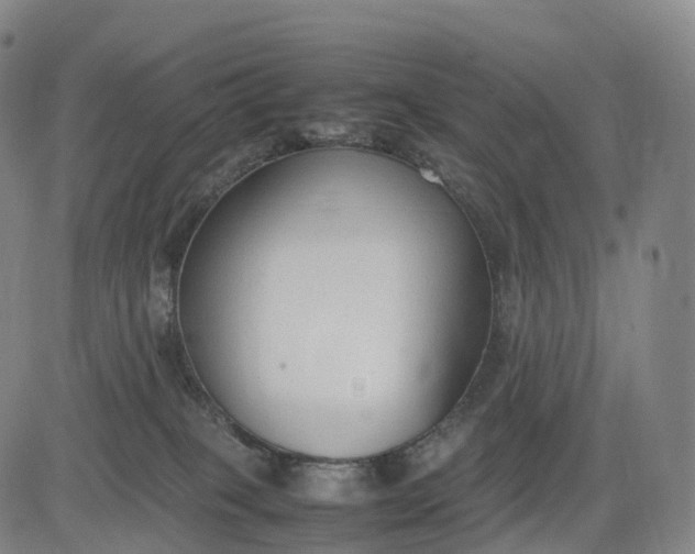 X0000083010085200702161602