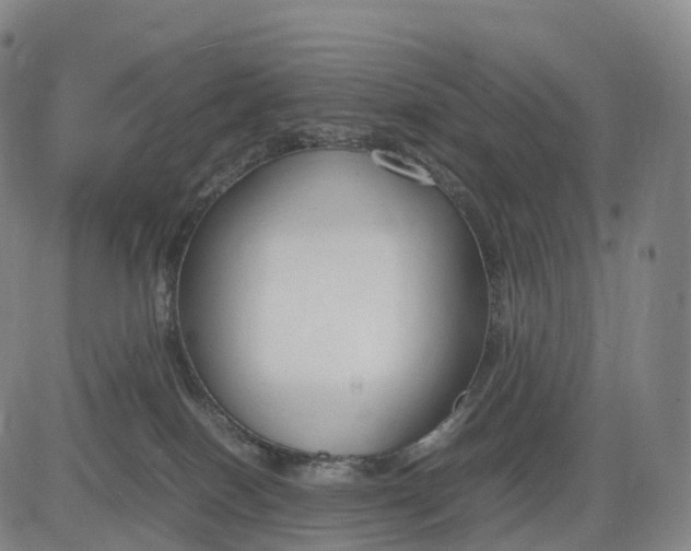 X0000083010086200702161602