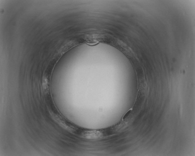 X0000083010087200702161602