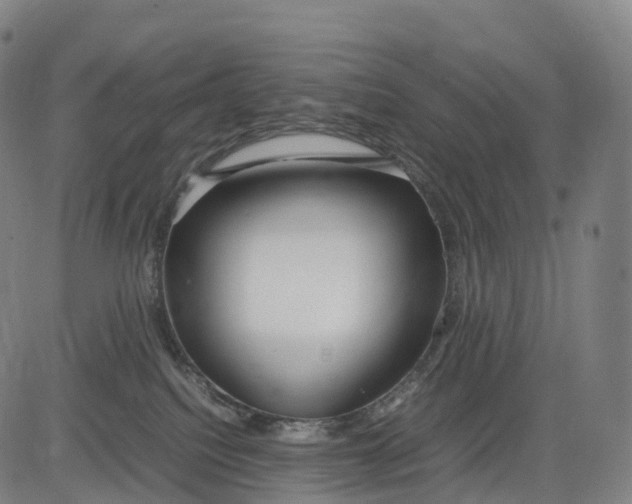 X0000083010088200702161602