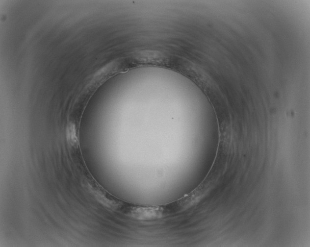 X0000083010089200702161602