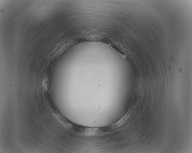 X0000083010090200702161602