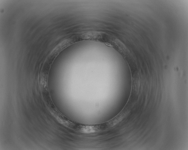 X0000083010091200702161602