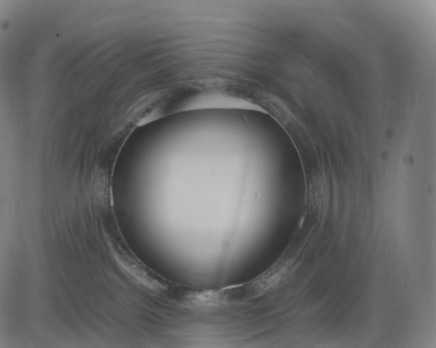 X0000083010092200702161602