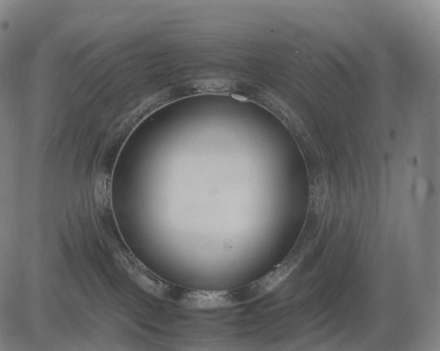 X0000083010093200702161602