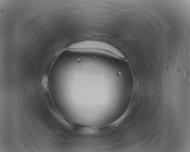 X0000083010094200702161602