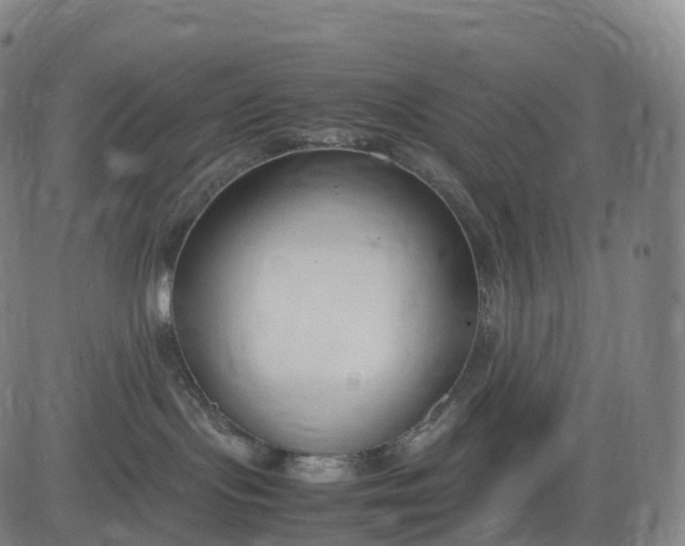 X0000083010095200702161602