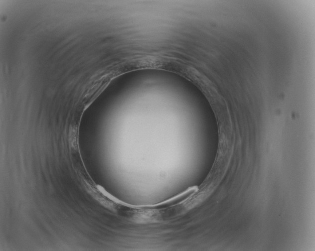 X0000083010096200702161602