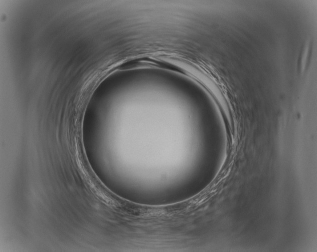 X0000083010097200702161601