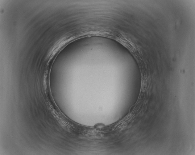 X0000083010098200702161601