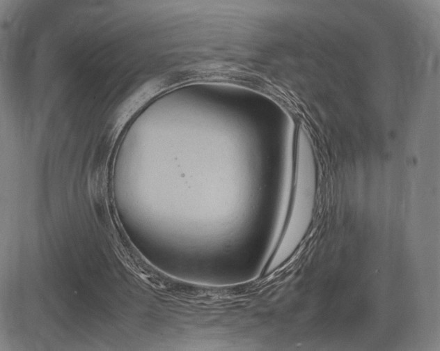 X0000083010099200702161601