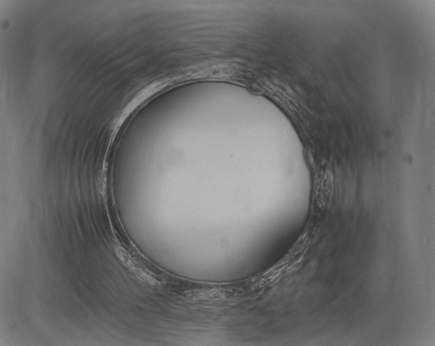 X0000083010100200702161601