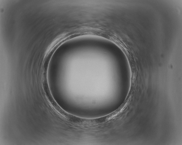 X0000083010101200702161601