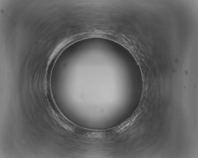 X0000083010102200702161601