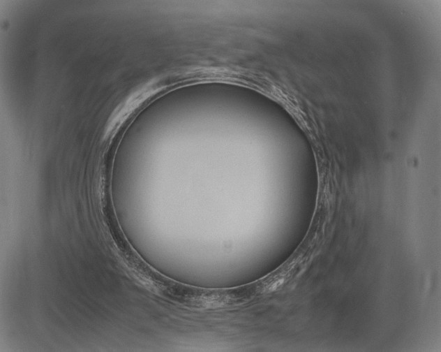 X0000083010103200702161601