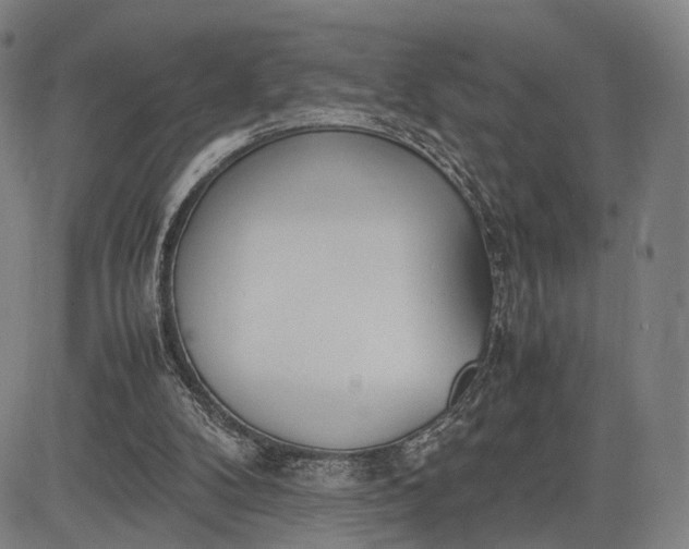 X0000083010104200702161601