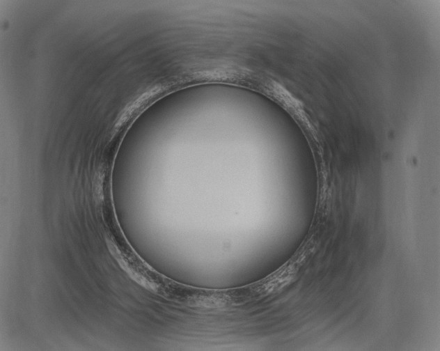 X0000083010106200702161601