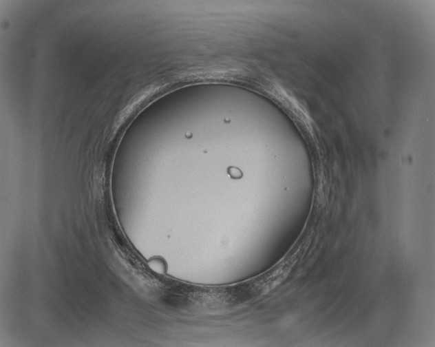 X0000083010107200702161601