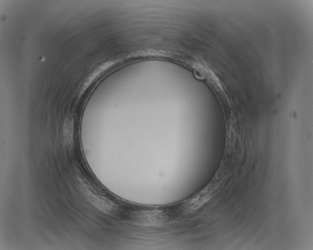 X0000083010108200702161601