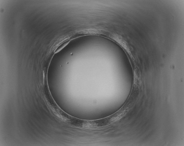 X0000083010109200702161601