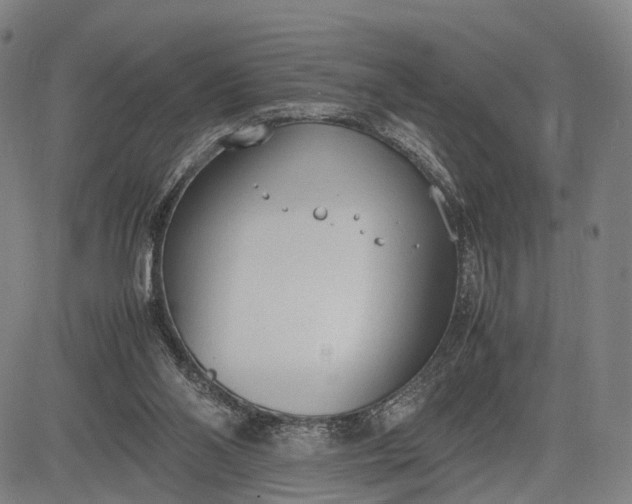 X0000083010110200702161601