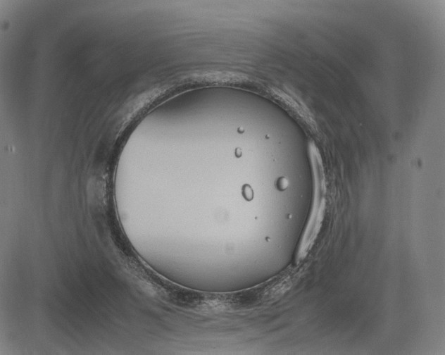 X0000083010111200702161601