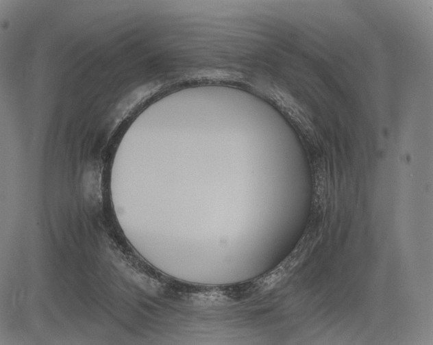 X0000083010112200702161601