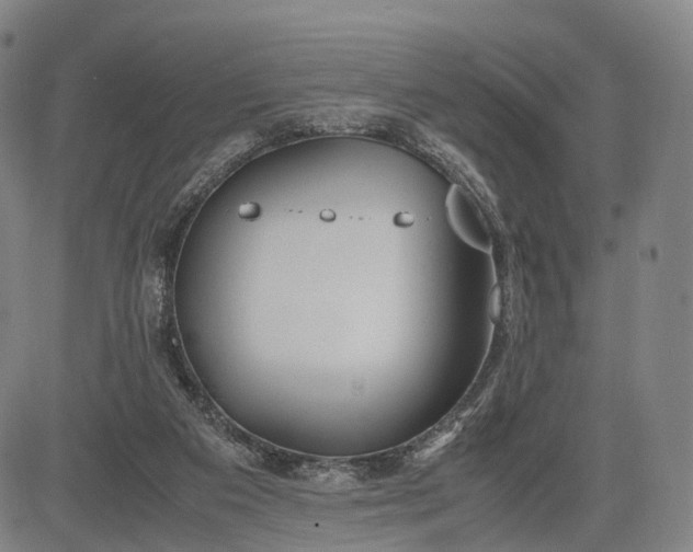 X0000083010113200702161601