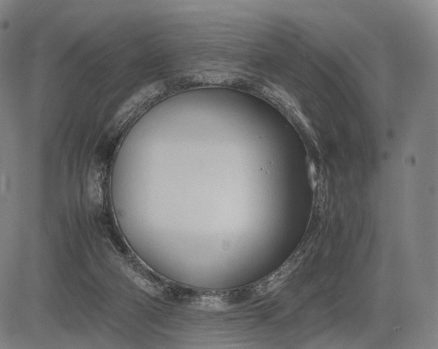 X0000083010114200702161601